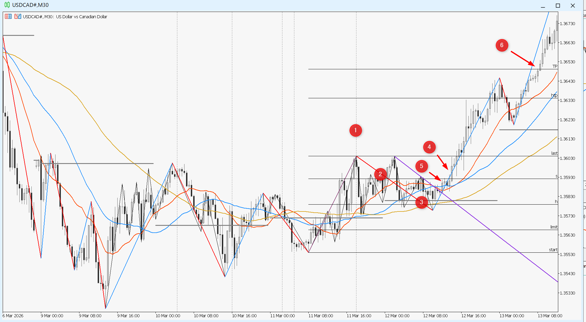 保護中: 『判断設計マニュアル』【PIVOT編】