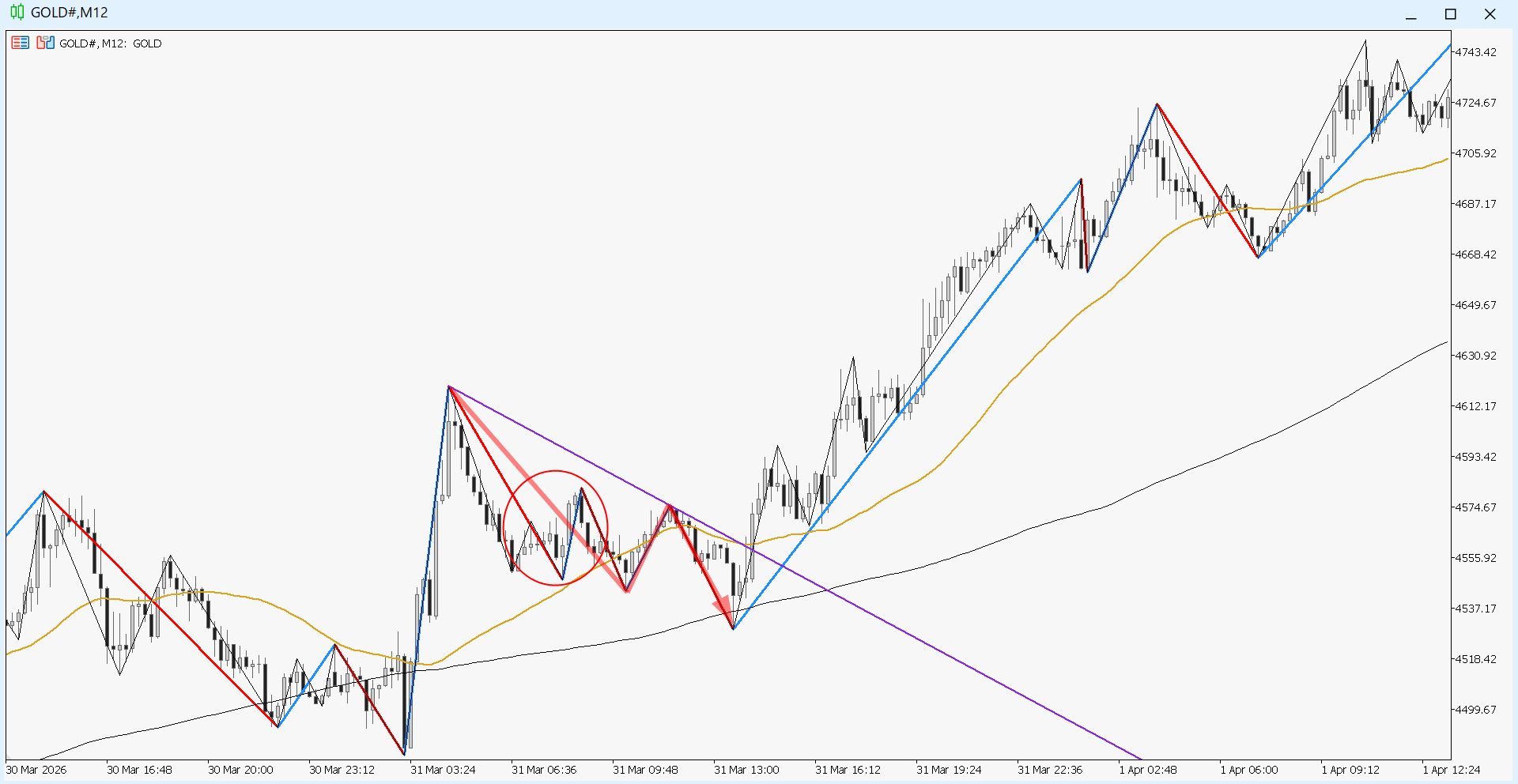 保護中: プロトレーダー用手法